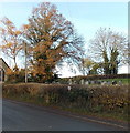 Southern edge of a graveyard in Aston Ingham