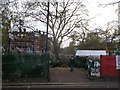 Christmas Trees, Brook Green