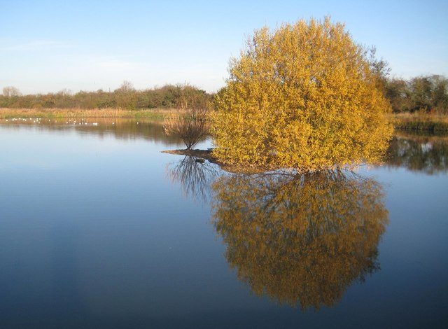 Aylesbury: Pond by Bear Brook