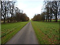 The lime-lined approach to Aldenham House