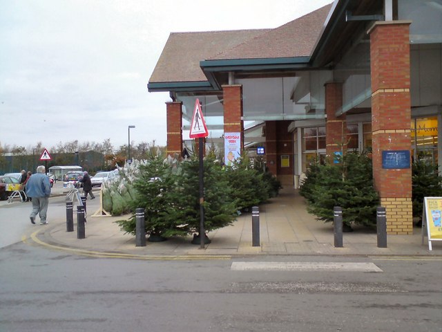 Christmas trees shop at morrisons