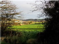 Pastures North of Cottingley