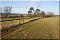 Fence beside a bridleway