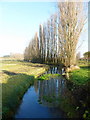 Stream on the corner of Deerton Street and Marsh Lane