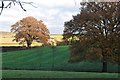 SX9497 : East Devon : Countryside Scenery by Lewis Clarke