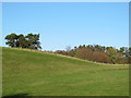 Farmland and woodland east of Brampton