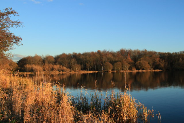 Late Autumn at Lochore Meadows © edward mcmaihin cc-by-sa/2.0 ...