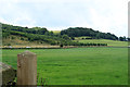 Arable Land at Cleatop Barns