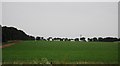 TL7576 : Farmland by Heronfield Belt by N Chadwick
