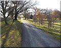 Road on the west side of the village church, Much Marcle