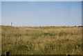 SM9000 : Grassland by the B4320 by N Chadwick