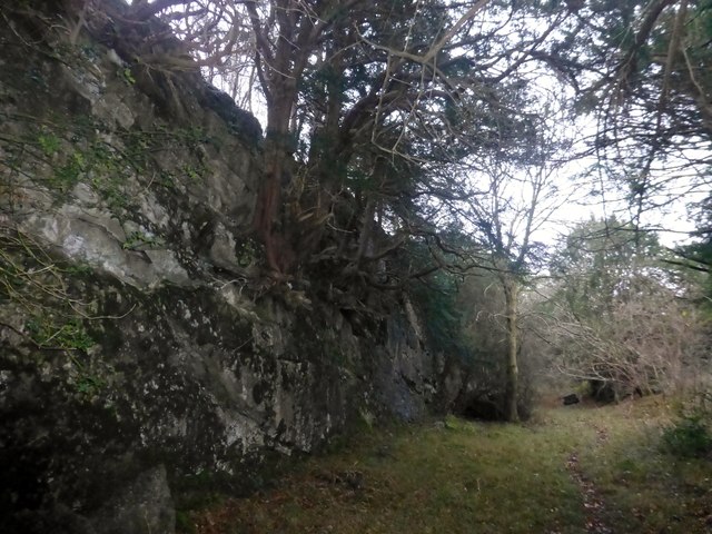 Trees On Limestone Outcrop