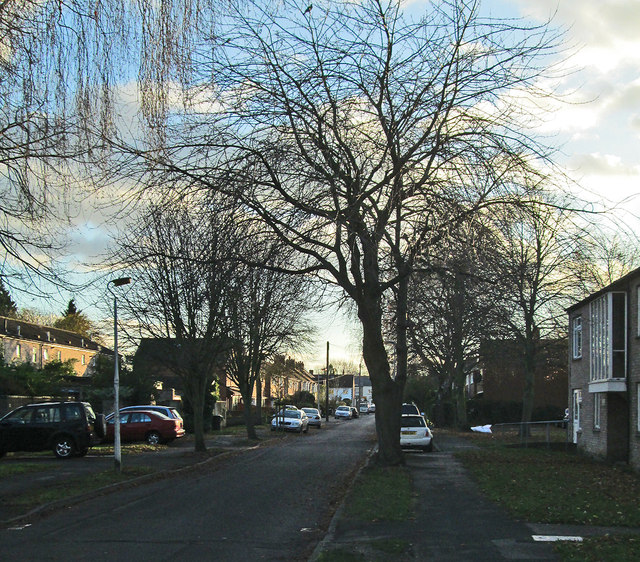Neville Road: winter light