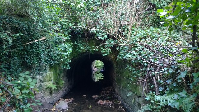 BCDR third culvert over Knock River (downstream end)
