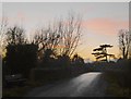 Evening sky at Fleet Bridge, Cookham Moor