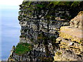 R0392 : Cliffs of Moher - Close-Up View of Face of Cliffs below O'Brien's Tower   by Joseph Mischyshyn