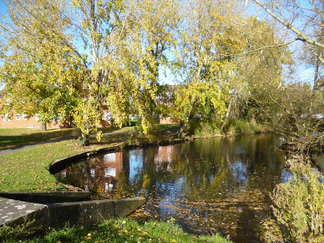Lent Green Pond