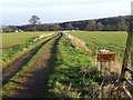 Track to Callaly Mill