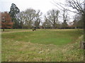 Field by the Old Hall