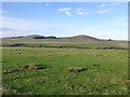 Looking across Mile Moor