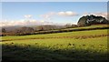 Fields near Hele