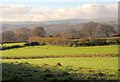 Field near Hele