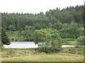 The dam at Llyn Glangors