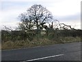 NU0911 : Storm damage beside the A697 by Russel Wills