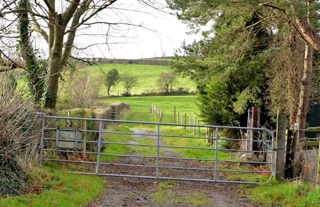 Gate And Lane, Holywood © Albert Bridge Cc-by-sa 2.0 :: Geograph 