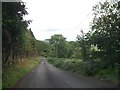 Road linking the Slieve Gullion Forest Drive with the B113 at Drumintee