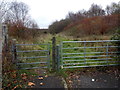 Gates to a path from Llansamlet to Llwynbrwydrau, Swansea