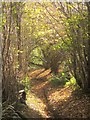 Bridleway to Baddaford