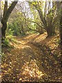 Bridleway to Baddaford