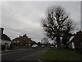 The A283 heading north through Northchapel