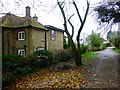 Footpath in Fernhurst