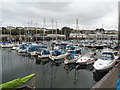 Yachts in Milford Haven Marina