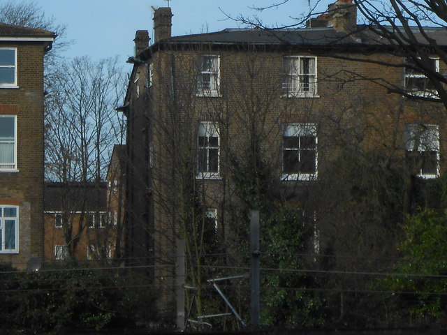Rear view of houses on The Avenue, Brondesbury