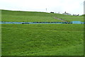 Mystery structure near The Rath, Milford Haven