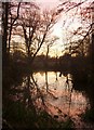 A pool along the Fleet Ditch, Cookham Moor