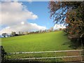 SX7866 : Field on Torcorn Hill by Derek Harper