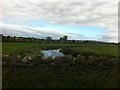 River Lagan and farmland