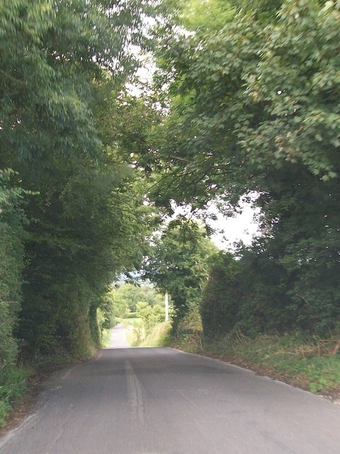 View north-eastwards along minor road linking the Hill of Tara with the R147