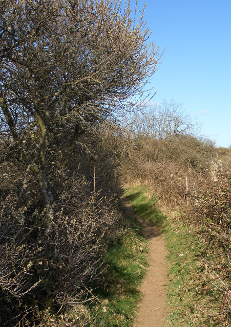 Public footpath at the northern edge of Merthyr Mawr Warren