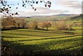 Countryside near Kingston House