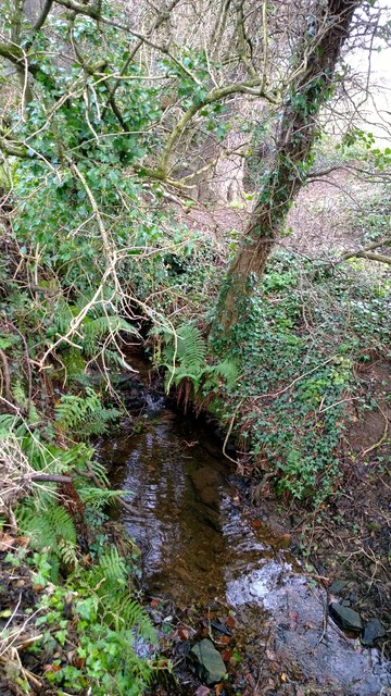 Source of the Knock River Belfast