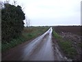 Common Lane, Cliffe