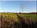 Knockaraven Townland