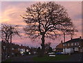 Red dusk over Penn, Wolverhampton