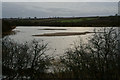 TA0023 : Far Ings Nature Reserve by Ian S
