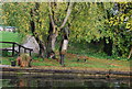 Wooden statue by the Grand Union Canal